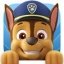 Paw Patrol Academy 1.5.1