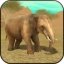 Wild Elephant Sim 3D 100