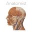 Anatomist 2.50