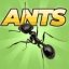 Pocket Ants 0.0942