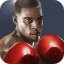 Punch Boxing 3D 1.1.6