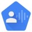 Google Voice Access 6.1.530397167