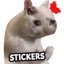 Cat Memes Stickers 2.1.1