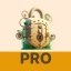 VPN XLock Pro 3.6.900