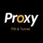 PIX Proxy Tunnel 1.0.0.0