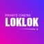 Loklok 2.18.0